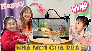 Mẹ Hà Hà Hí Và Em Mint Vy Chuyển Nhà Mới Cho Rùa Con