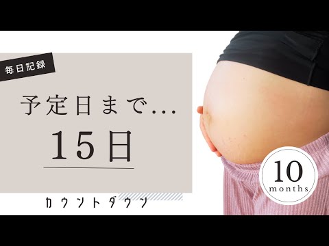 【臨月妊婦】出産予定日まで残り....『15日』｜毎日投稿