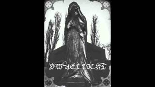 Dwaellicht - Het duistere licht