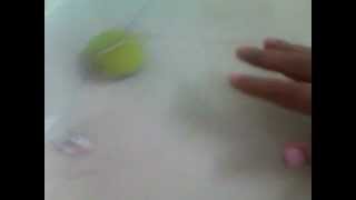 Brushbot.3gp