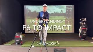 Chiliwacker P6 to IMPACT