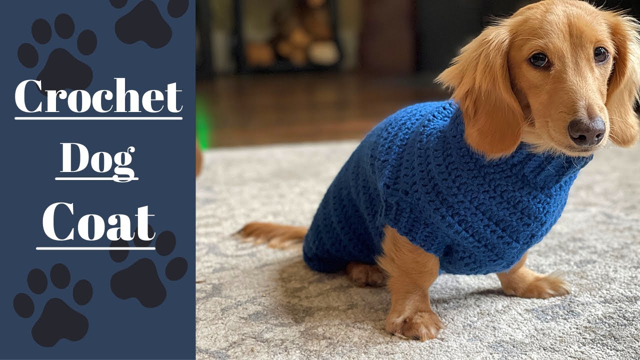 Crochet a Cozy Sweater for your Furry Friend!