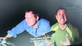 Wild kratts  Termites vs. Tongues @PBSKIDS 