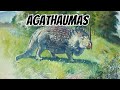 Dinosaur Species  Agathaumas Facts, Size & Behavior