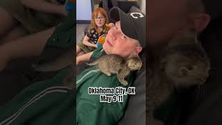 #oklahomacity #comedy #standupcomedy #johncaparulo JohnCaparulo.com