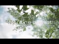 ［playlist］春を感じるお洒落な洋楽 🌱︱BGM︱Background Music ︱chill playlist︱かけ流し︱60分耐久︱著作権フリー︱途中広告なし