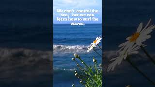 Quotes Library