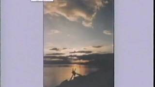 Información ØDH 1991 Bildearkiv Guía
