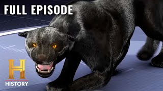 MonsterQuest: DEADLY BEAST ON THE PROWL (S2, E7) | Full Episode