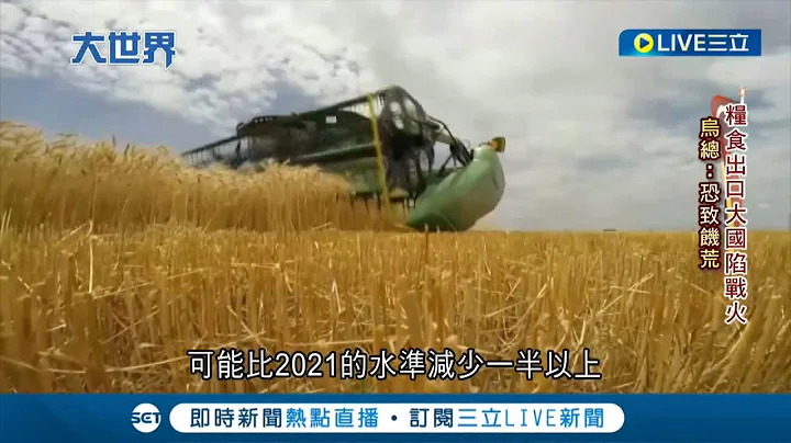俄烏戰爭衝擊全球能源市場 加劇全球糧食短缺危機 小麥.玉米.大麥出口遭阻加上肥料價格飆漲 恐使全球多國發生饑荒｜記者 葉俐緯｜【國際大現場】20220323｜三立新聞台 - 天天要聞
