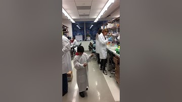 Mannequin Challenge in the lab