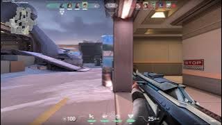 Flickshott