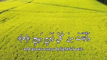 وترى الأرض هامدة - القارئ: ياسر الدوسري