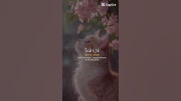 قال لا تخاف قران كريم راحه# نفسيه _استمع #لي اجر ولك اجر #cat #اكسبلور 🍓