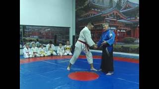 Тренер по джиу-джитсу и айкидо выключает любого противника