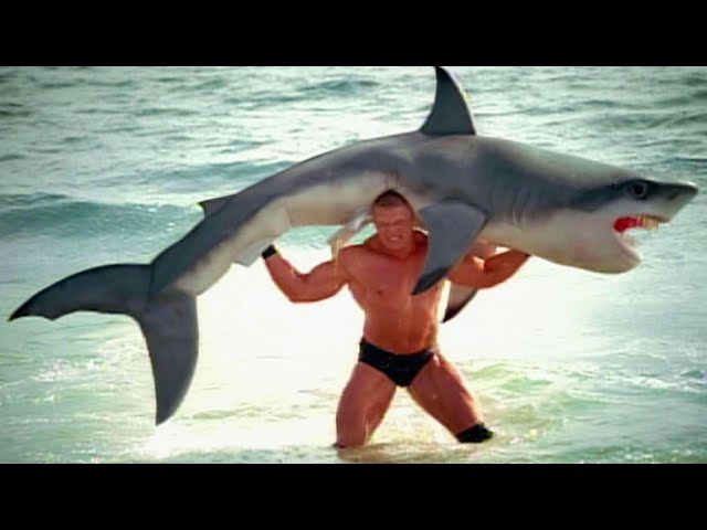 Brock Lesnar F5s a shark: SummerSlam 2003 commercial class=