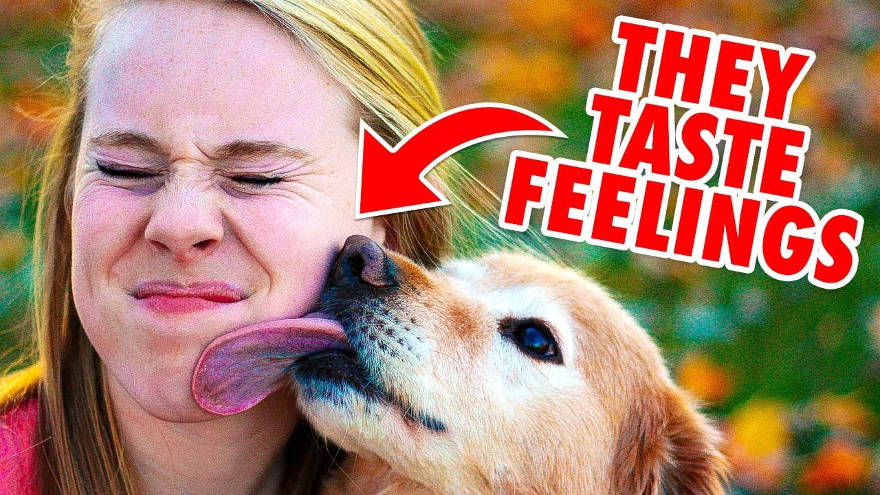 SHOCKING Facts About Dogs You NEVER Knew About!