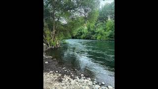 ¡Tu Paraíso te Espera en La Araucanía! 🏞️ Parcelas en Huiscapi con Ortúzar Propiedades