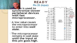 Famous RPZ BSC SECOND YEAR MICROPROCESSOR LECTURE 11 Wealth