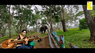 ನಾವಾಡುವ ನುಡಿಯೇ ಕನ್ನಡ ನುಡಿ... Veena Instrumental music | naavaduva nudi kannada nudi | Dr.Rajkumar screenshot 5