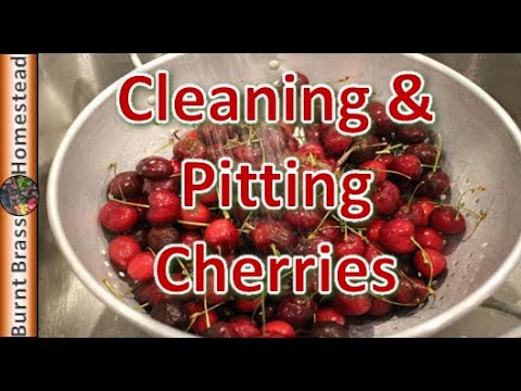 5 Ways To Efficient Cherry Pitting And Freezing 2024