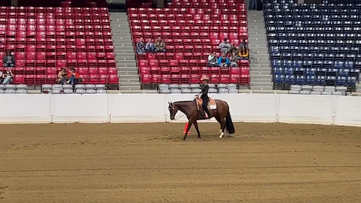 Split 1 Congress 2022 Level 1 Select Horsemanship ...