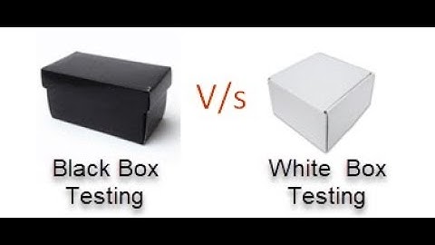 Pengujian White Box dan Black Box. TESTING!!! PEMAPARAN.