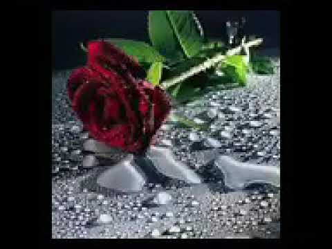حلات وتس اب كني وحيد الناس ضايع مكانه حزينة جدا