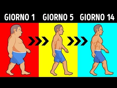 Video: Qual è un buon apporto calorico per perdere peso?