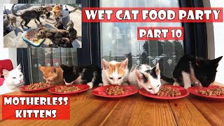 The kittens' mother is missing. I must be their mother. Part 10: Wet Cat Food for Tiny Kittens