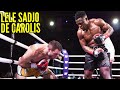 Kevin lele sadjo contre giovanni de carolis faits saillants