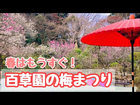 【日野市散歩】百草園梅まつりと高幡そば【京王線】