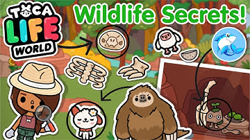 Toca Life world | Wildlife Secrets!?