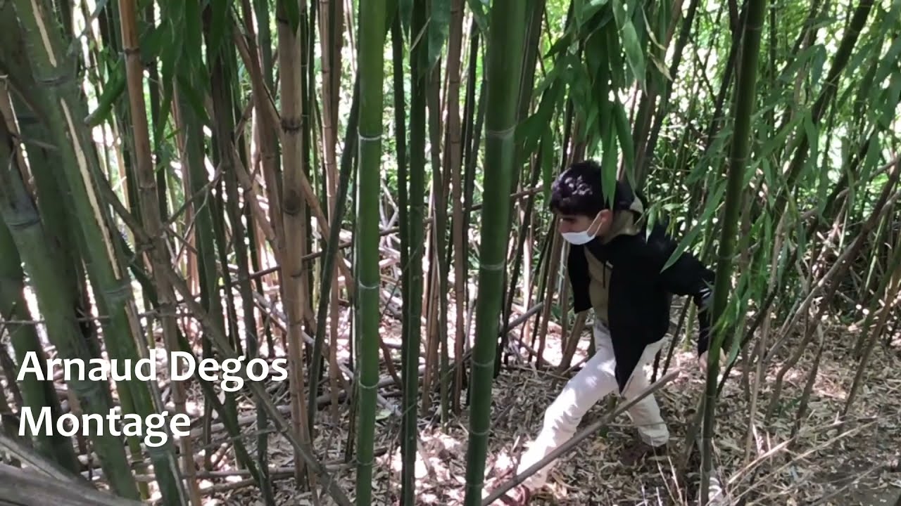 prostituée champier