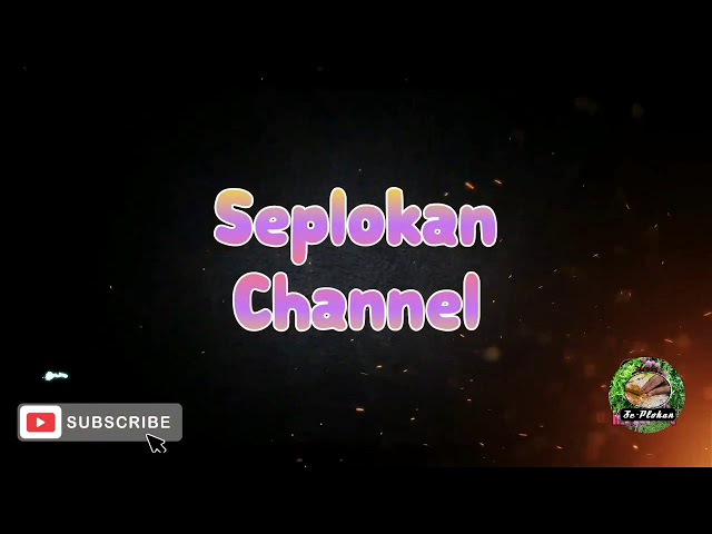 Opening Intro Seplokan Channel class=