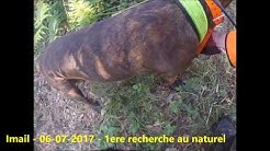 Première recherche au naturel pour Imail, première réussite ….