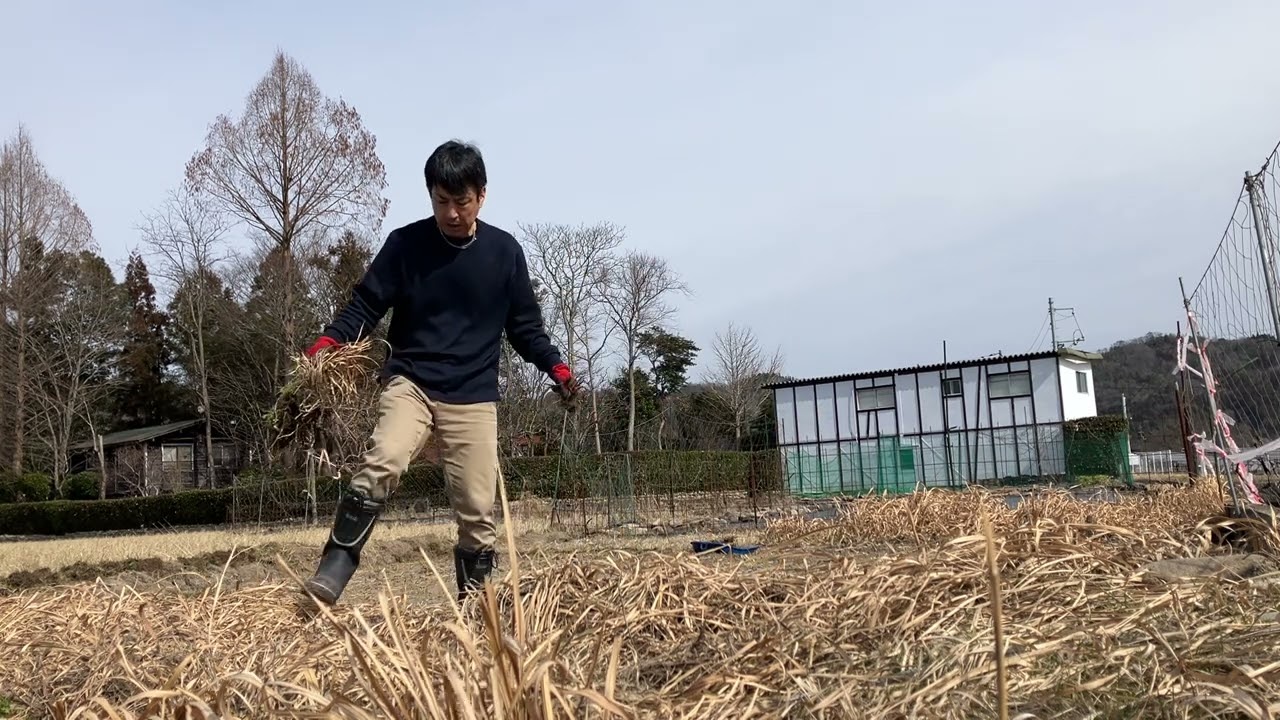 令和8年2月24日。夕方から雨なので、今日も畑作り頑張ります。