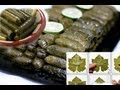 Arabic Recipe #12 -Stuffed Grape Leaves ورق عنب