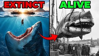 33 Ancient Monsters That Ruled the Earth | Full Series