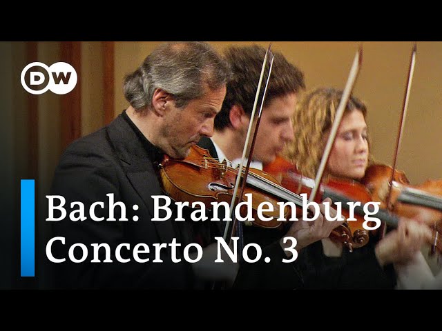 Bach - Concerto Brandebourgeois n°3 : Orchestra Mozart / C.Abbado