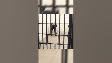 Robben Island Prison, South Africa #shorts
