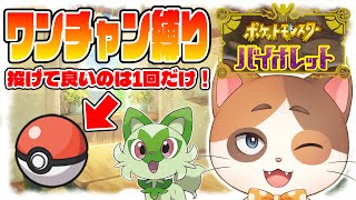 【ポケモンSV】運で仲間を決める『ワンチャン縛り』でストーリークリアを目指す！【Part3】