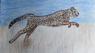adım adım çita çizimi &cheetah drawing step by step &how to draw
