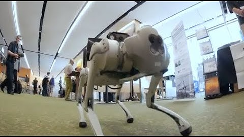 ITU AI For Good Global Summit 2023 Snapshots:  #5 Dogbots