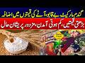 Flour &amp; Pulses Prices Surge in Rahim Yar Khan: Inflation Burdens Workers | News Update | Rohi