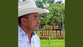 Video thumbnail of "Vitico Castillo - Para Que Voy a Mentir (Malaya Sea)"