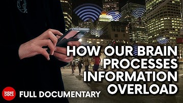 Can we adapt to the continuous flow of information? | FULL DOCUMENTARY