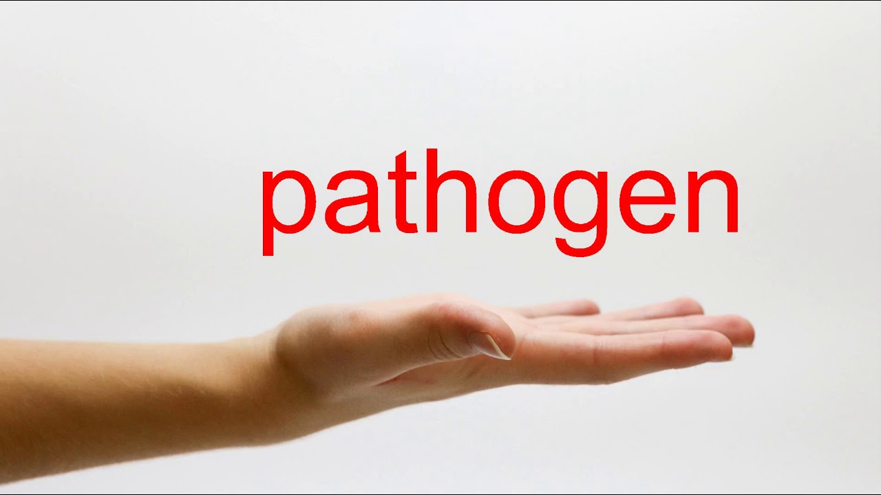 How to Pronounce pathogen - American English - YouTube