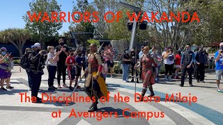 The Warriors of Wakanda: The Disciplines of the Dora Milaje at Avengers Campus