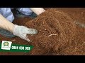 Máy nghiền xơ dừa tốt nhất